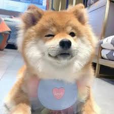 Andien Aisyah avatar